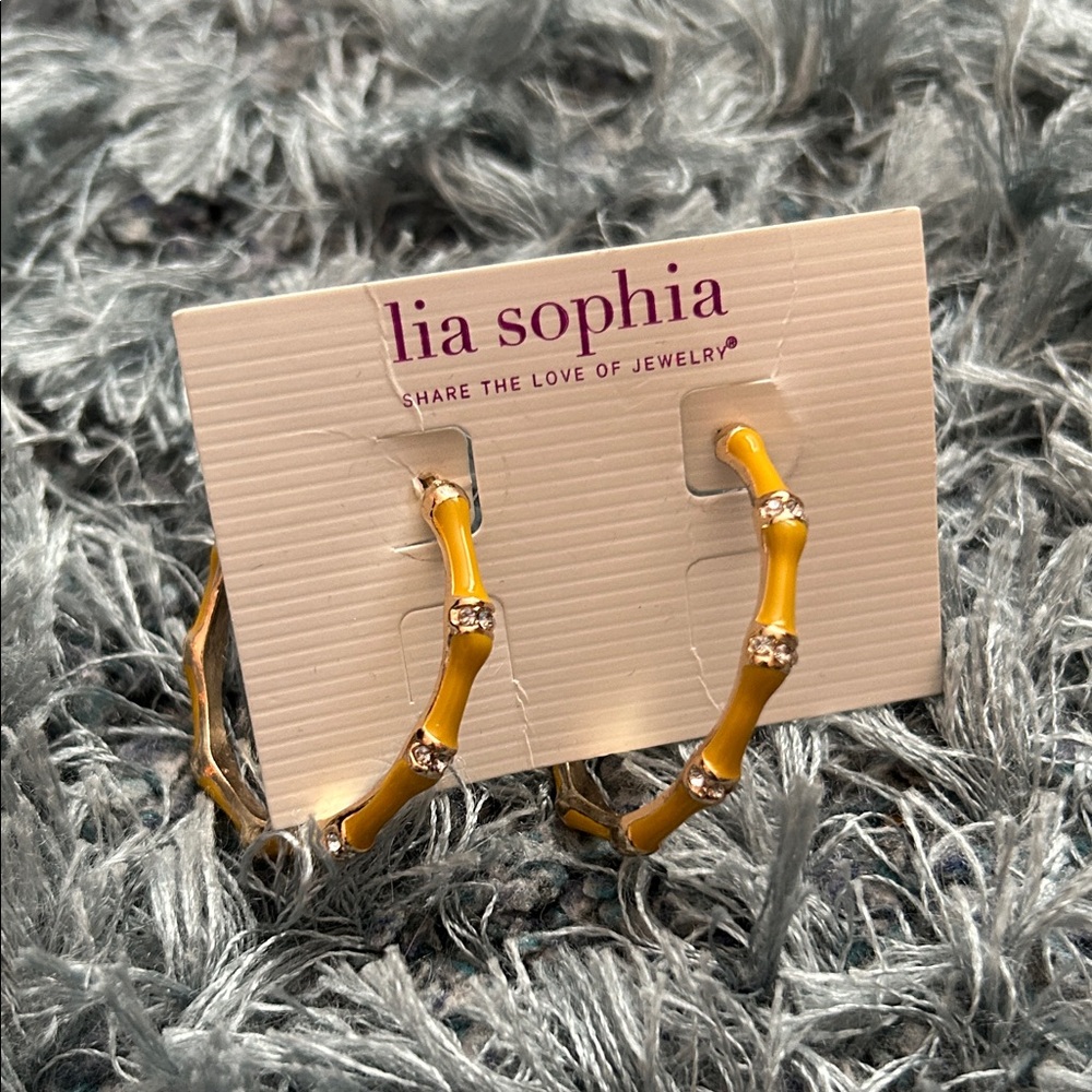 Lia Sophia Gold and Silver Hoop Earrings
